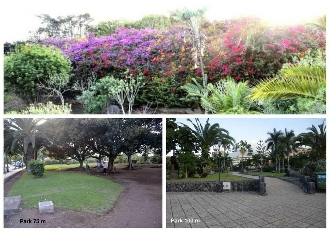 Playa Jardin Sea View Terrace By The Sea With Wifi Apartment Puerto de la Cruz  0*, Puerto de la Cruz (Tenerife) Spain